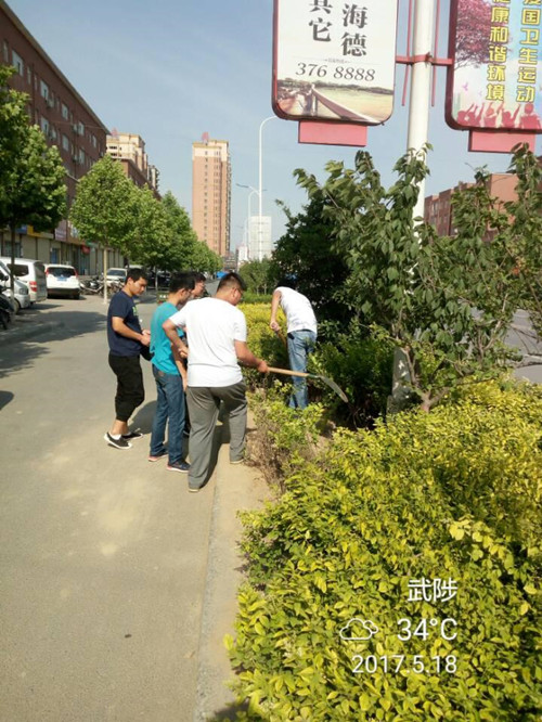 2017052203.jpg