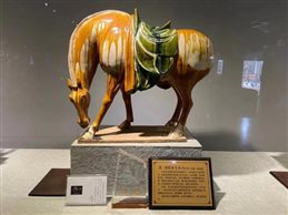 微信图片_20210309105501.jpg