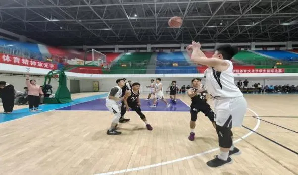 图片5.png 图片5.png