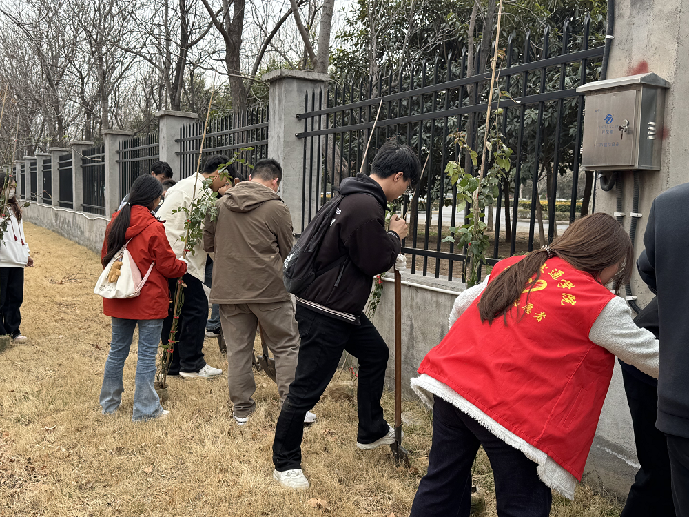 图片8.png